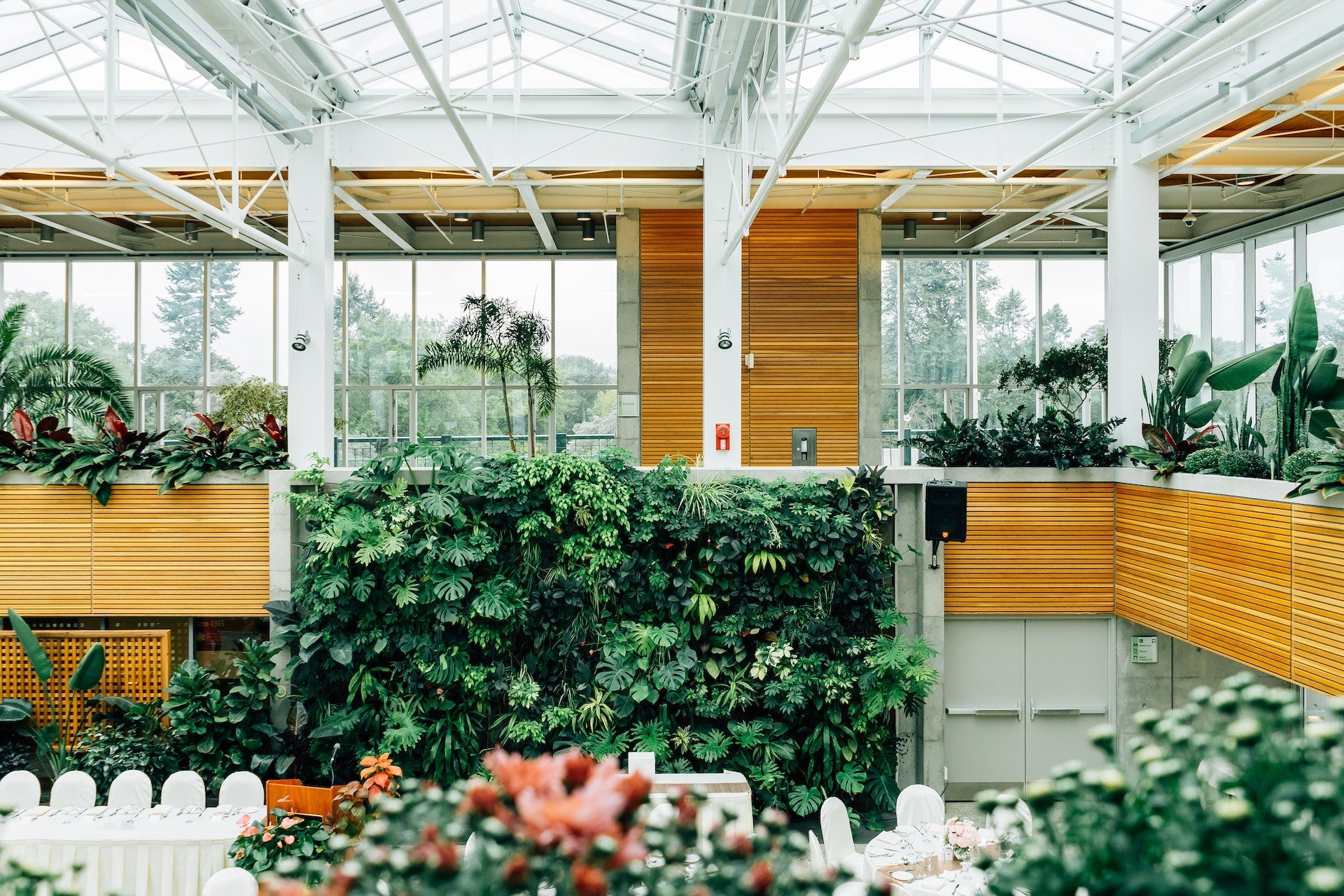 Elevating Greenhouse Exhaust Systems with Hon&Guan Duct Fans: A Breath of Fresh Air for Your Plants - Hon&Guan